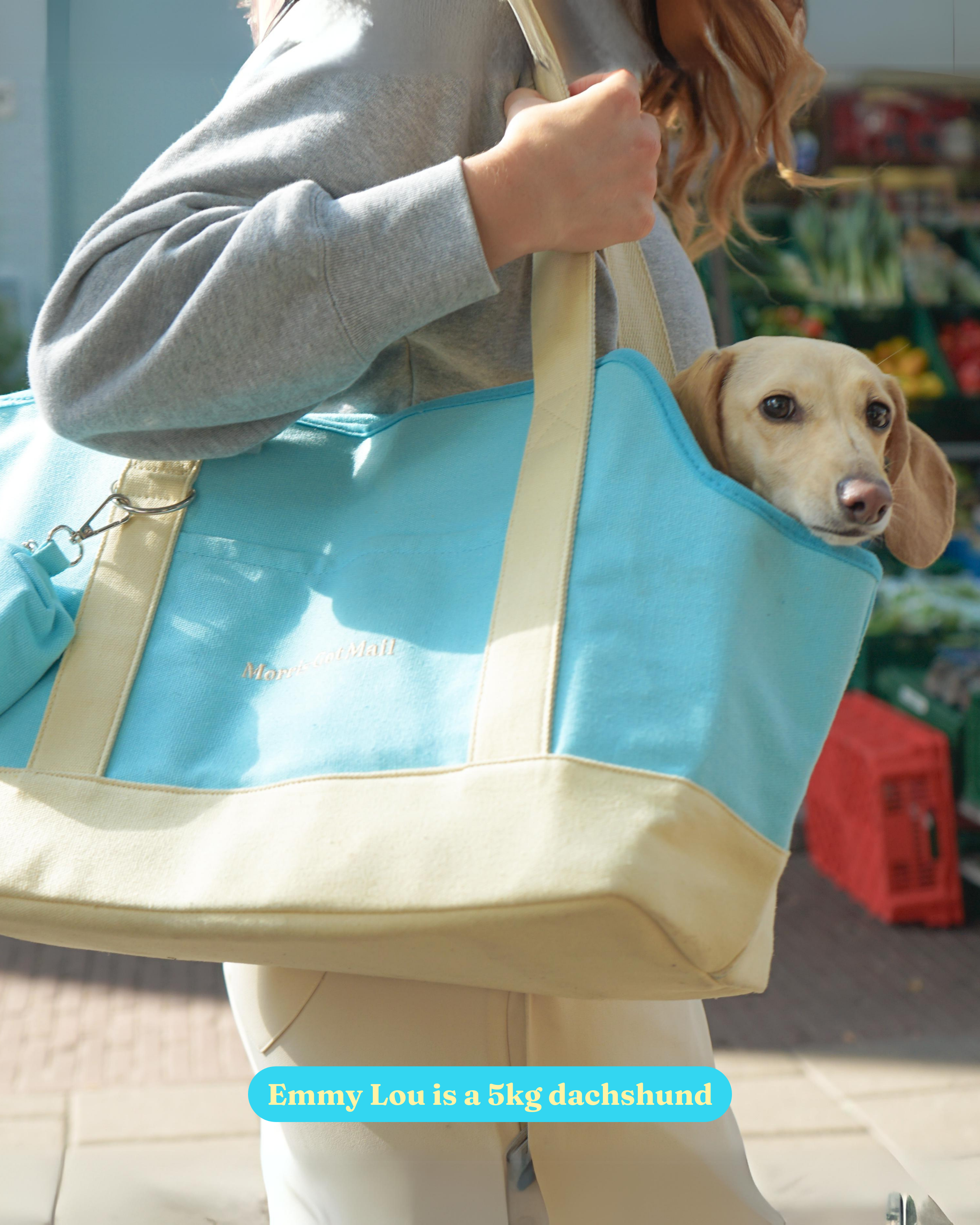 Sky Blue & Sand Cotton Canvas Dog Carrier Places To Go Tote