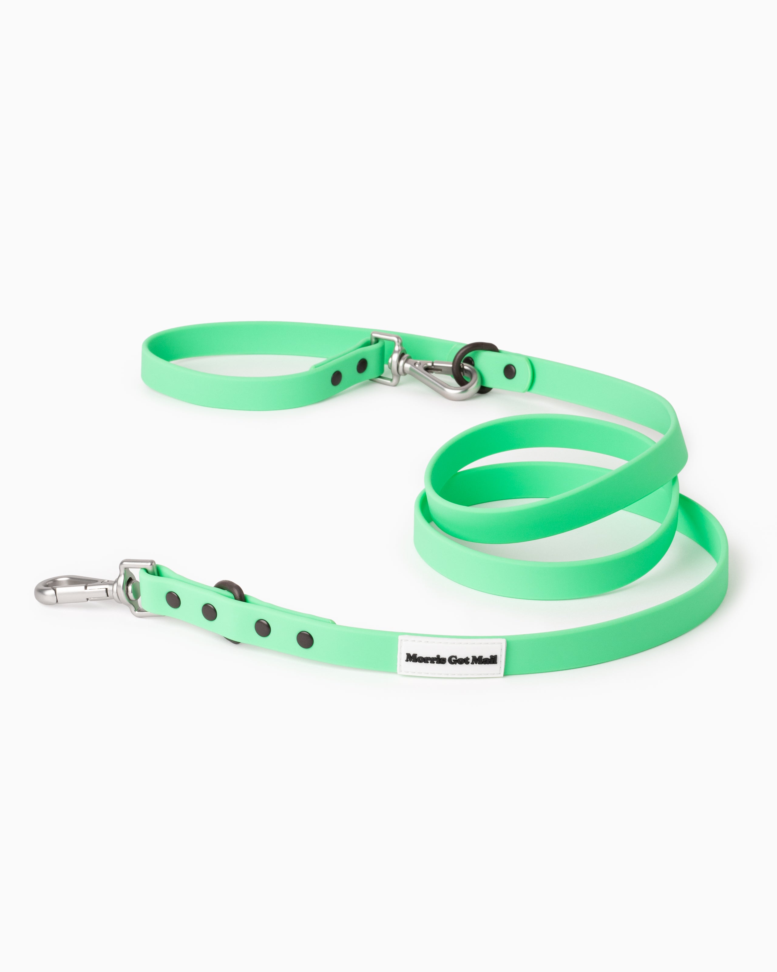 Spearmint green waterproof & odor resistant dog leash with a two tone colorblock design, two length options, a handle, carbon coated steel hardware, & zinc alloy attachment hooks.