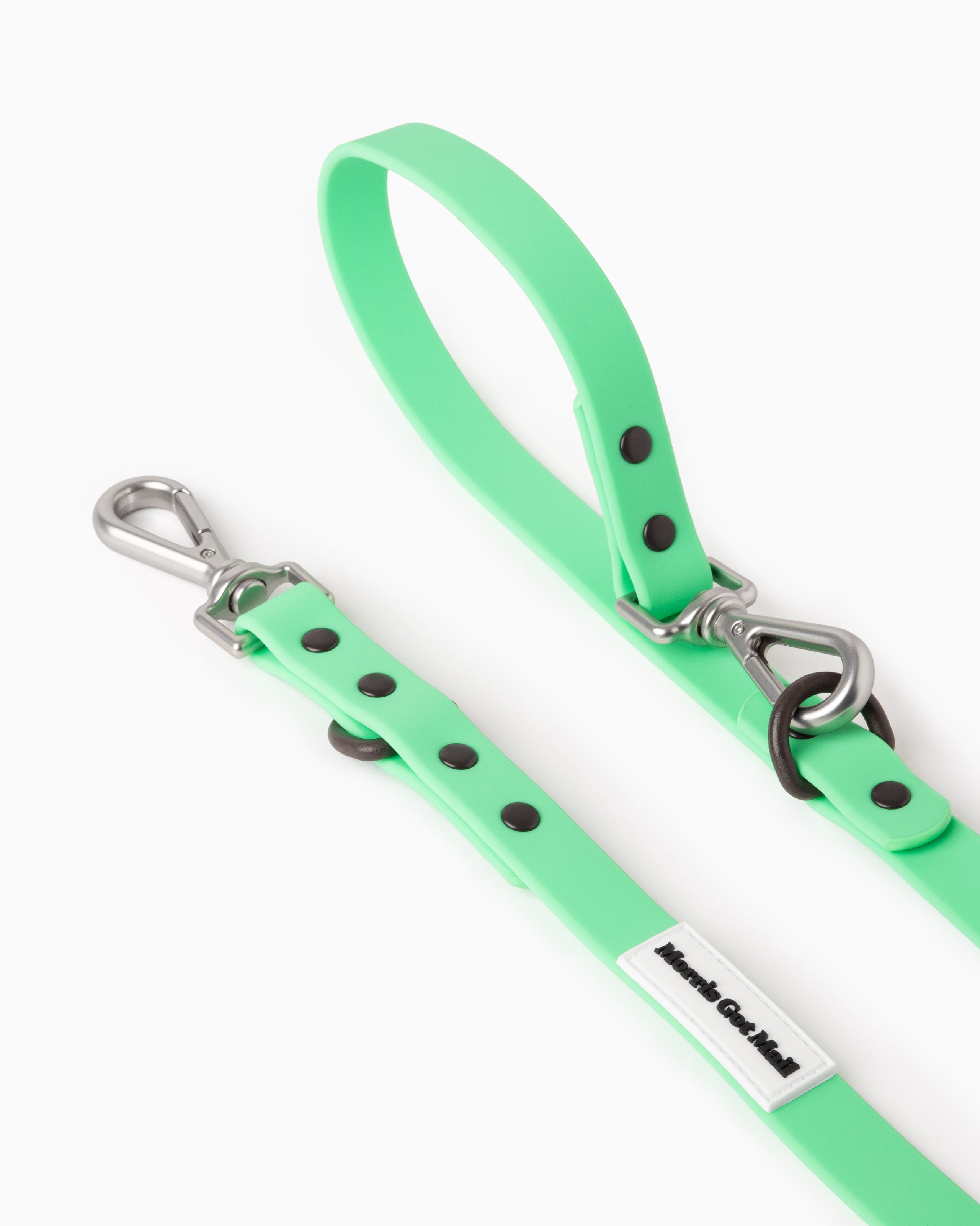 Spearmint green waterproof & odor resistant dog leash with a two tone colorblock design, two length options, a handle, carbon coated steel hardware, & zinc alloy attachment hooks.