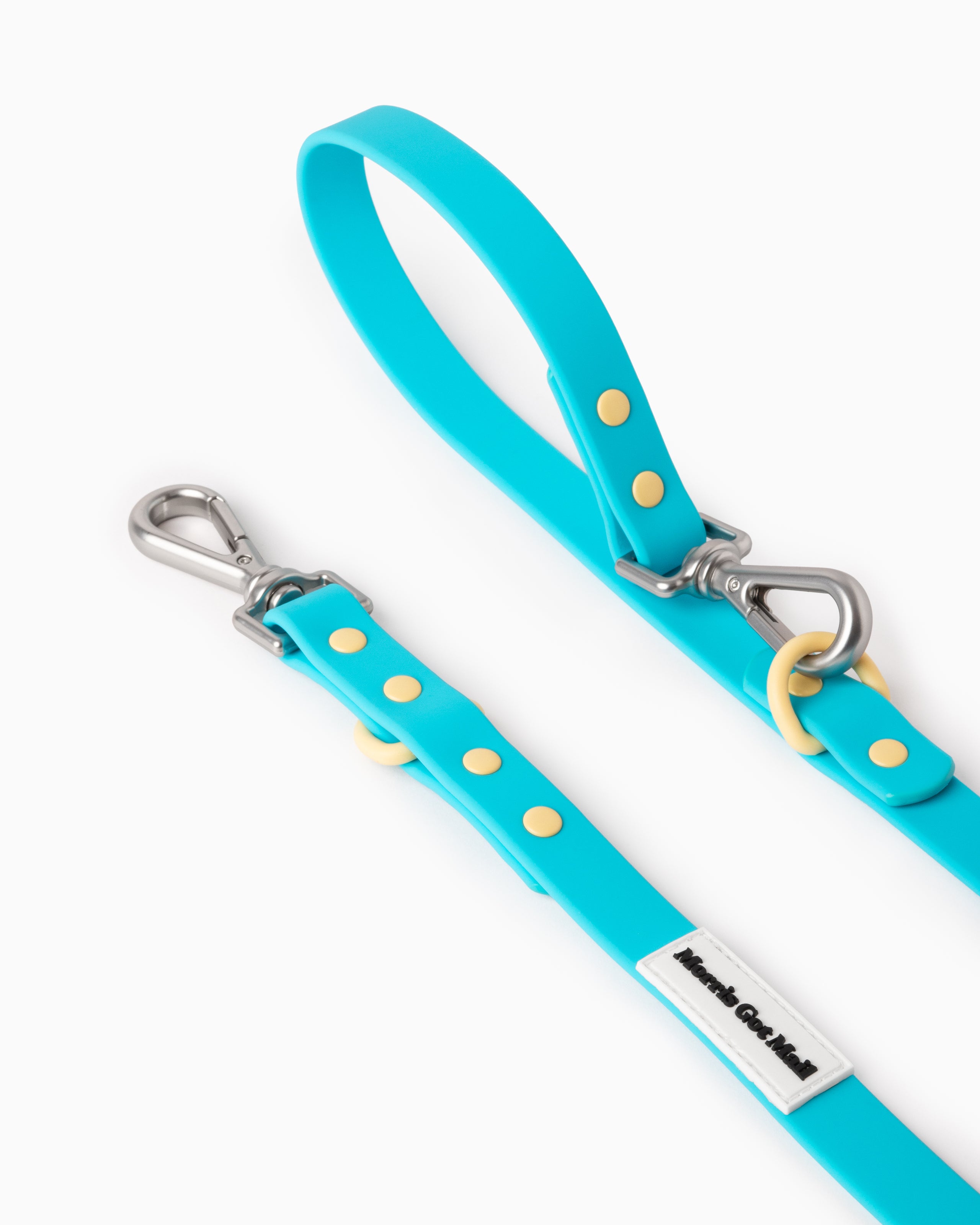 Cyan blue waterproof & odor resistant dog leash with a two tone colorblock design, two length options, a handle, carbon coated steel hardware, & zinc alloy attachment hooks.