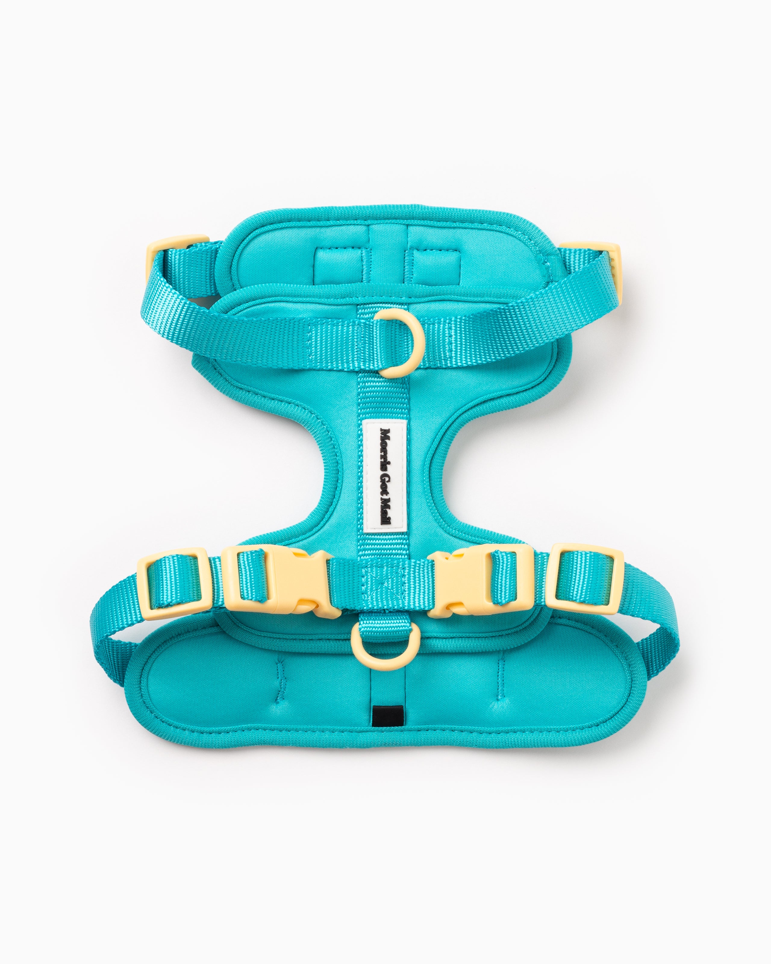 Blue lightweight two tone dog harness with three d-ring attachments & high quality buckles.