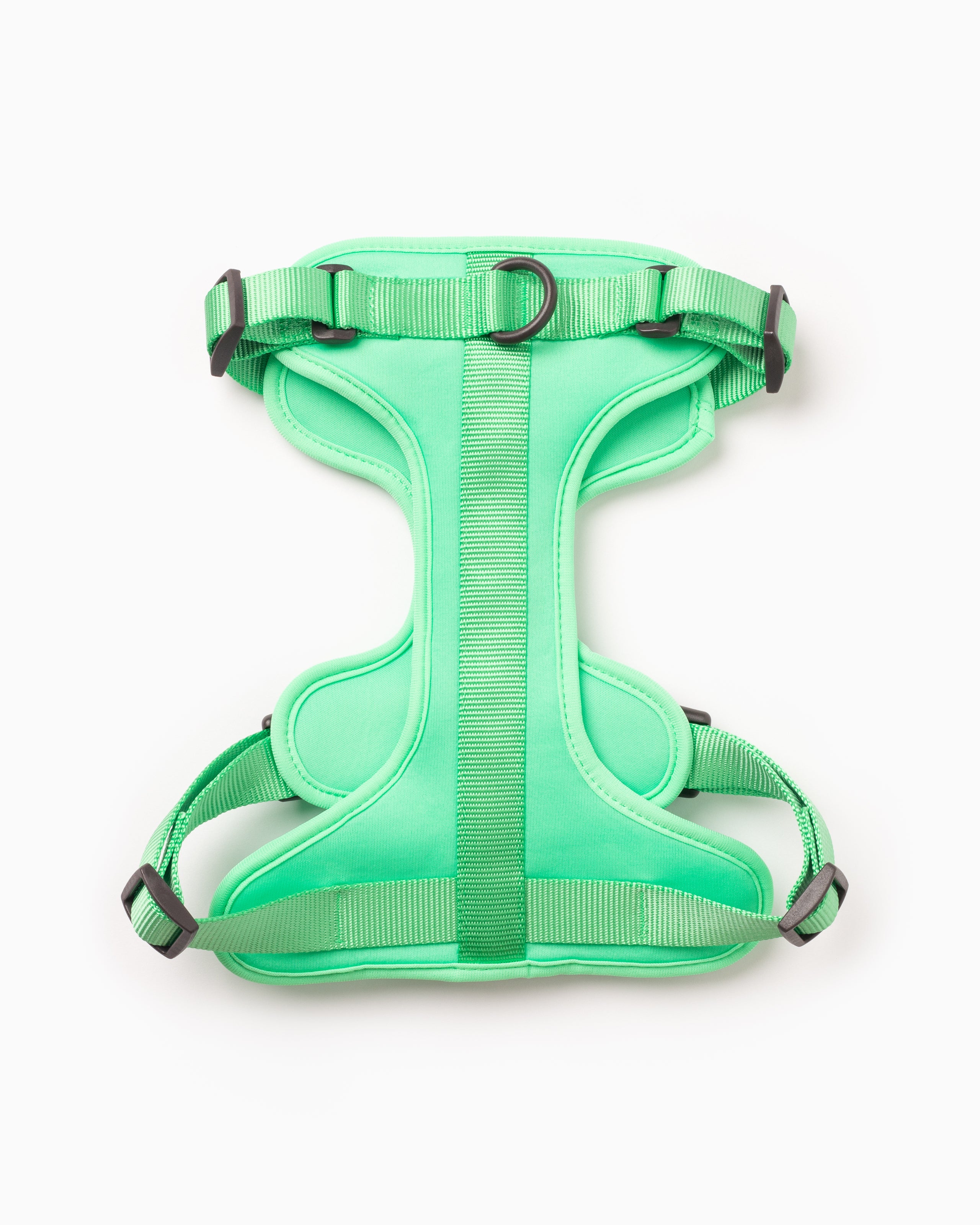 Spearmint green lightweight two tone dog harness with three d-ring attachments & high quality buckles.