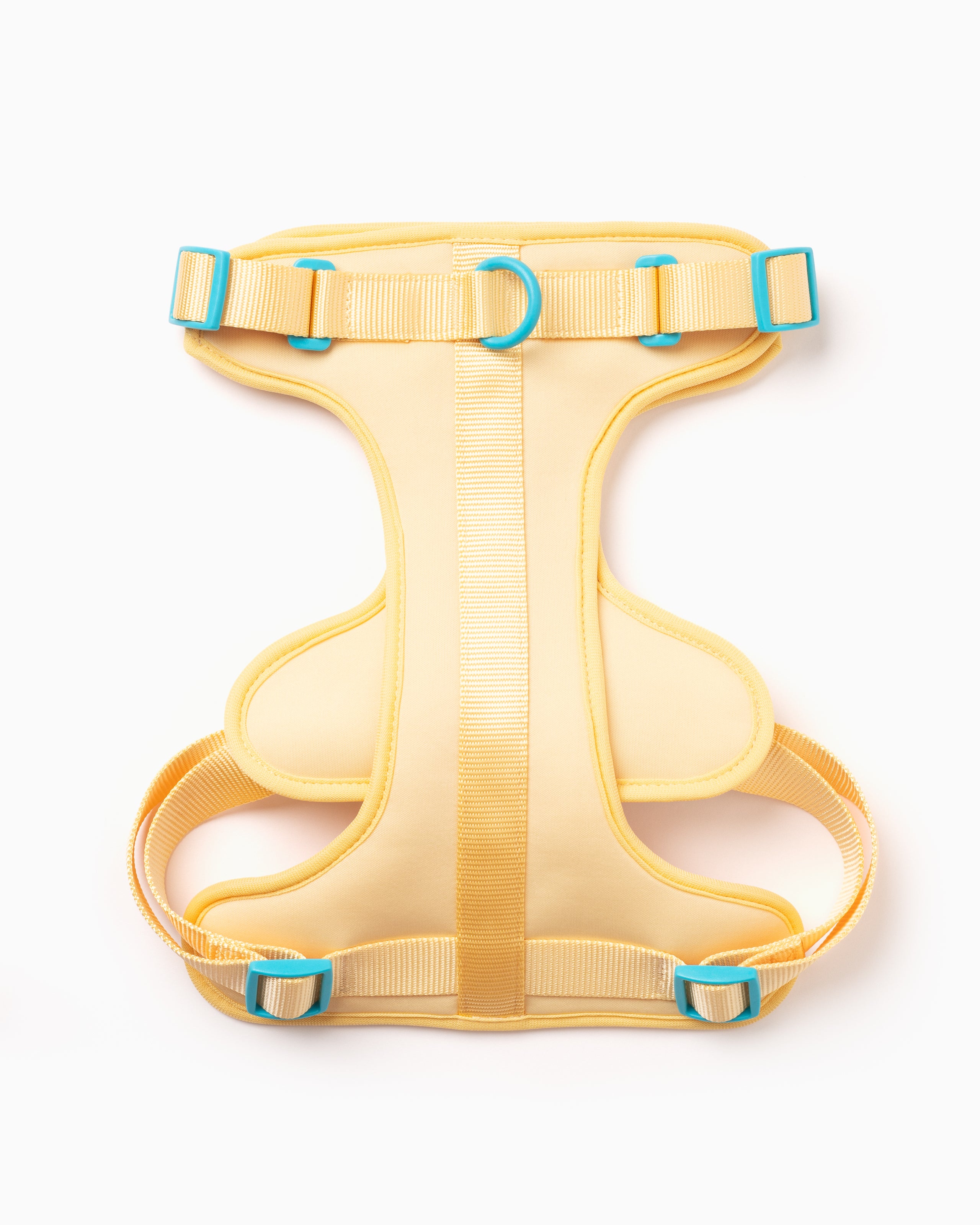 Buttery yellow lightweight two tone dog harness with three d-ring attachments & high quality buckles.