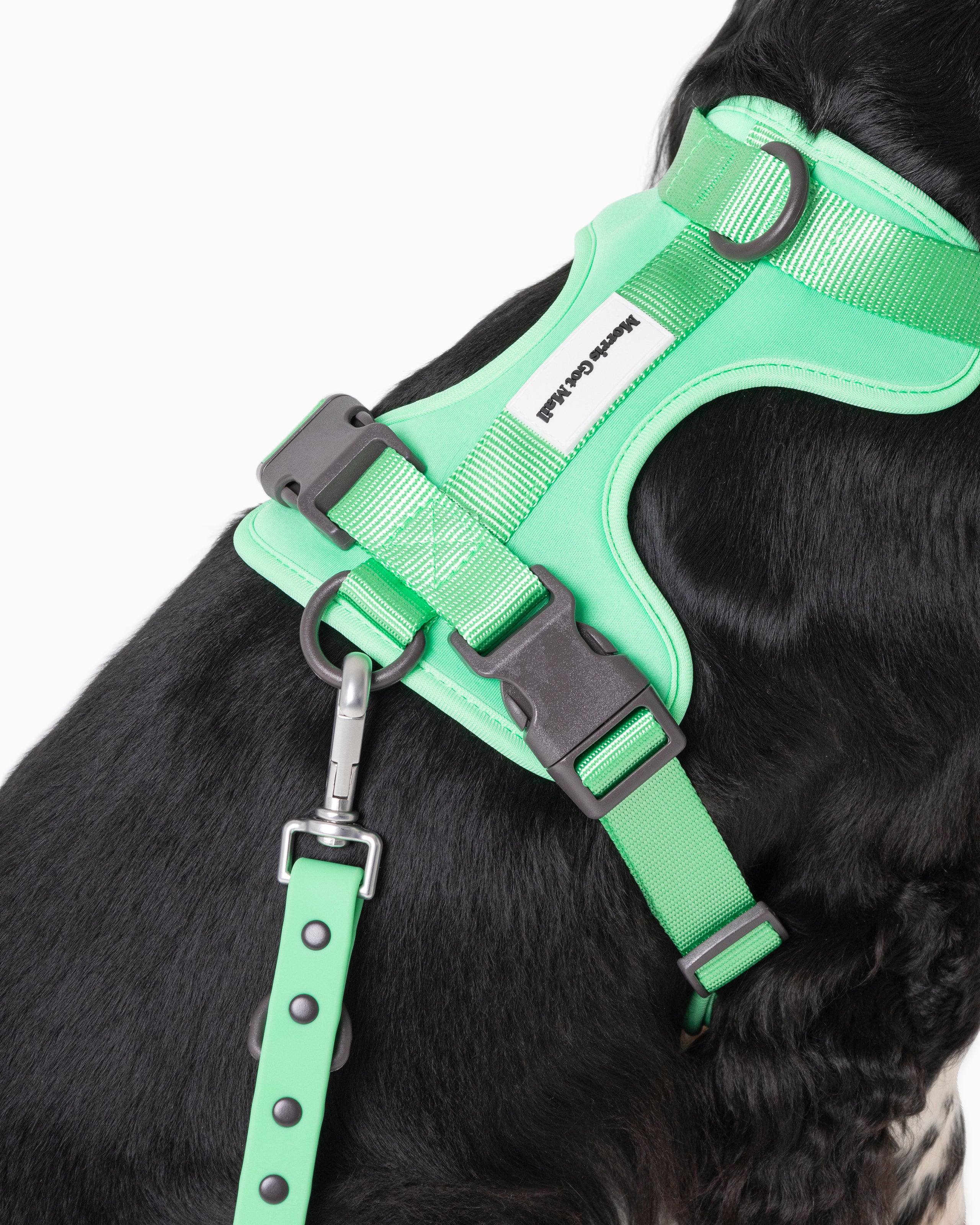 Spearmint Green Color Block Flexible Dog Harness
