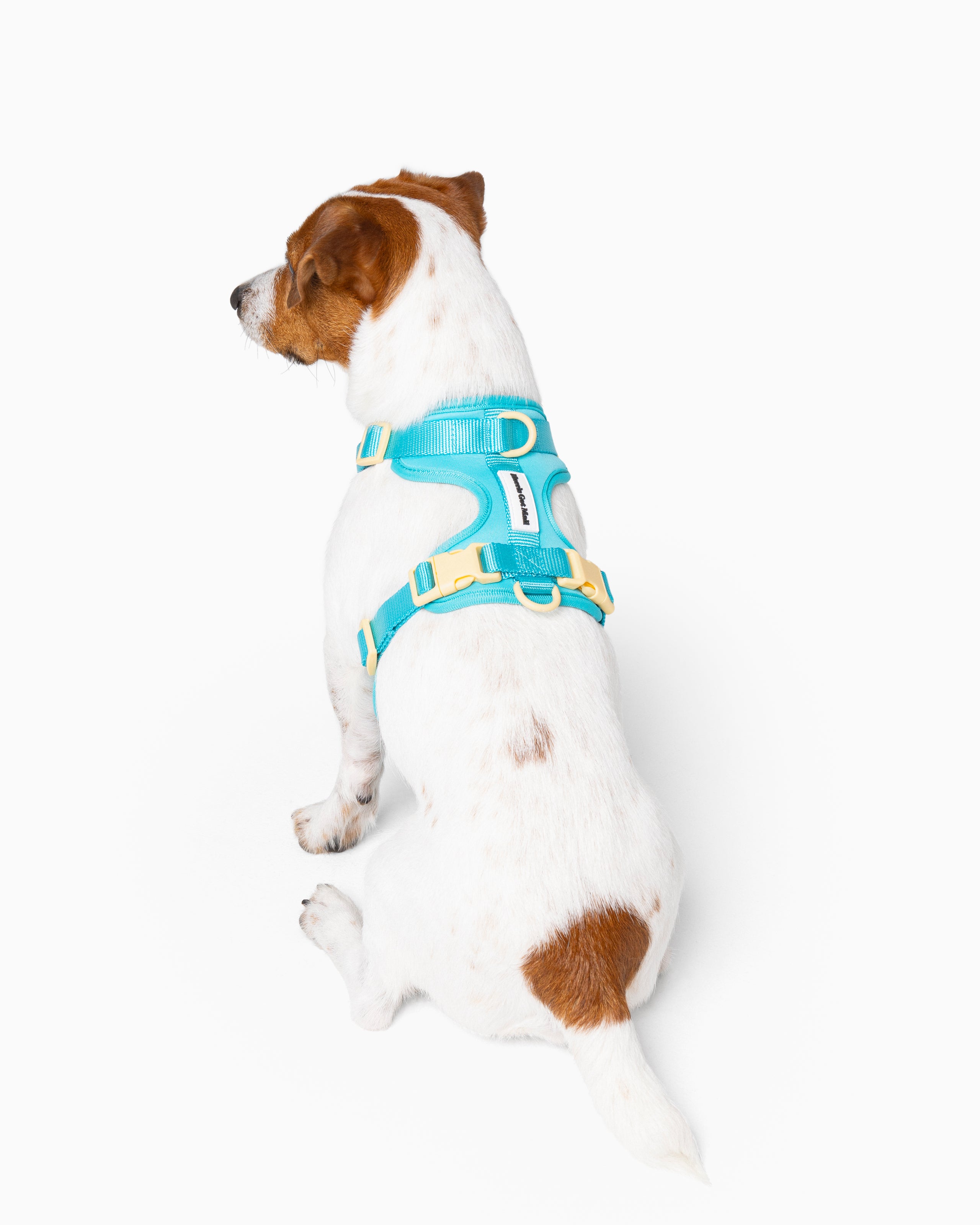 Cyan Blue Color Block Flexible Dog Harness
