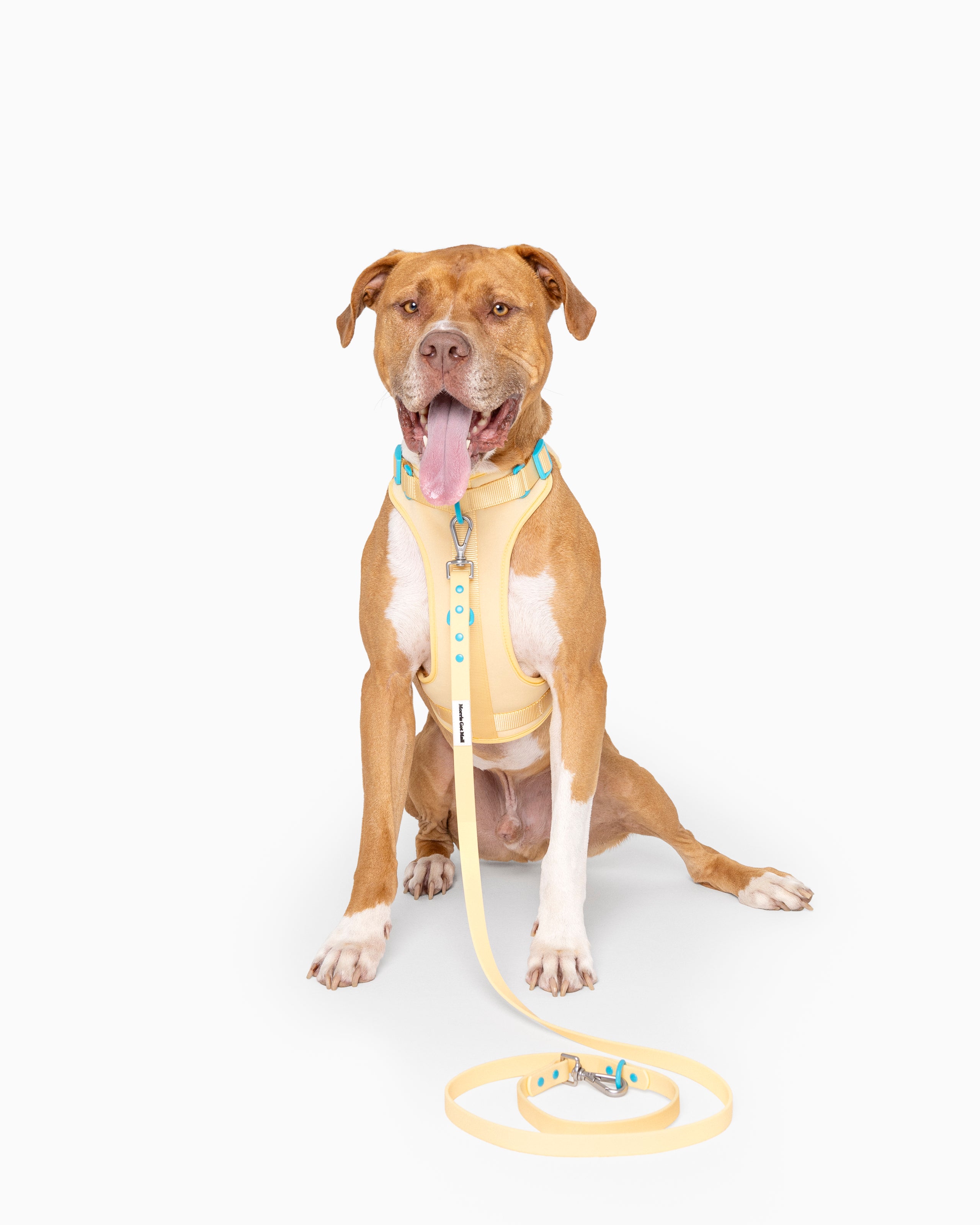 Butter Yellow Color Block Waterproof Daily Dog Leash