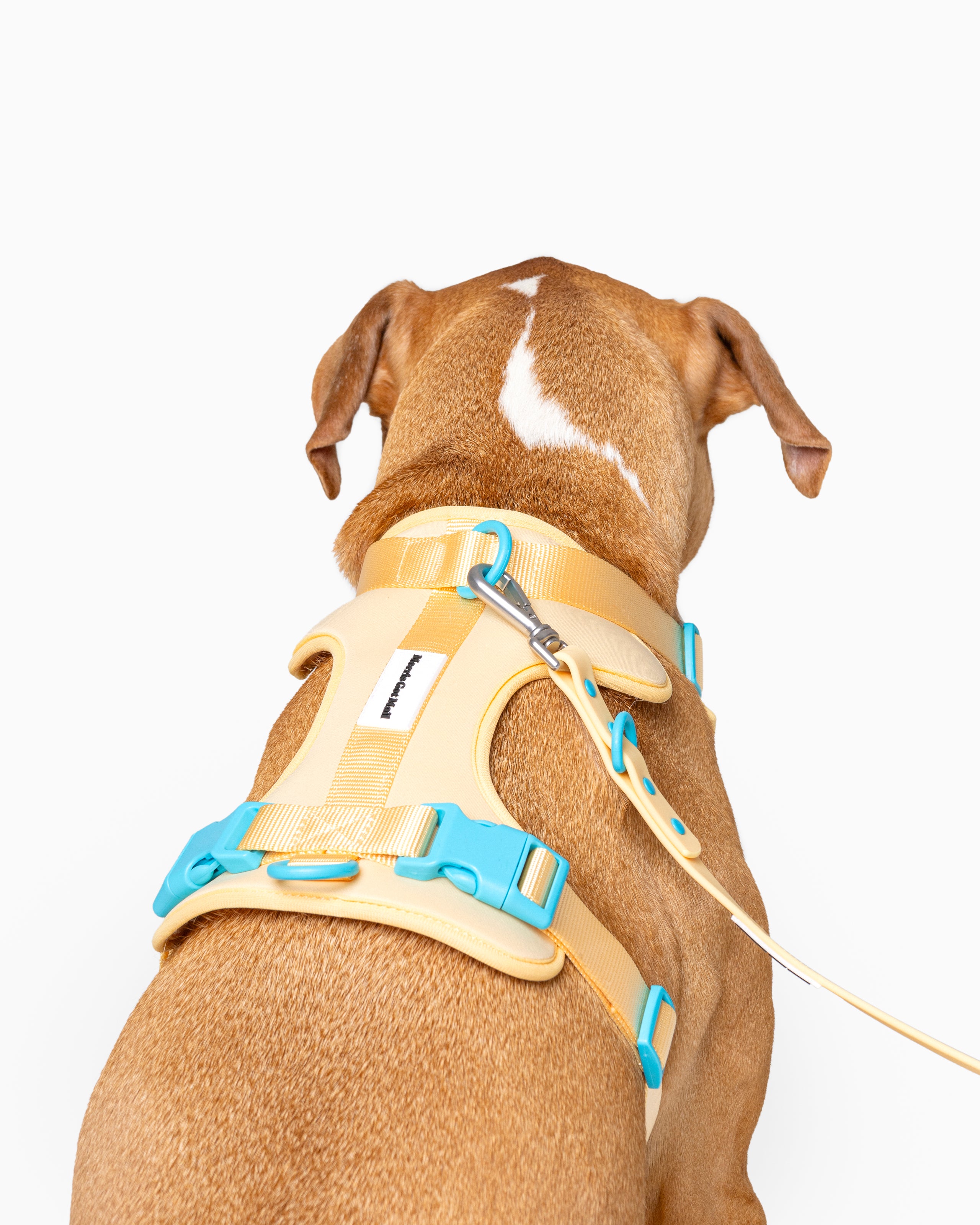 Flexible Dog Harness